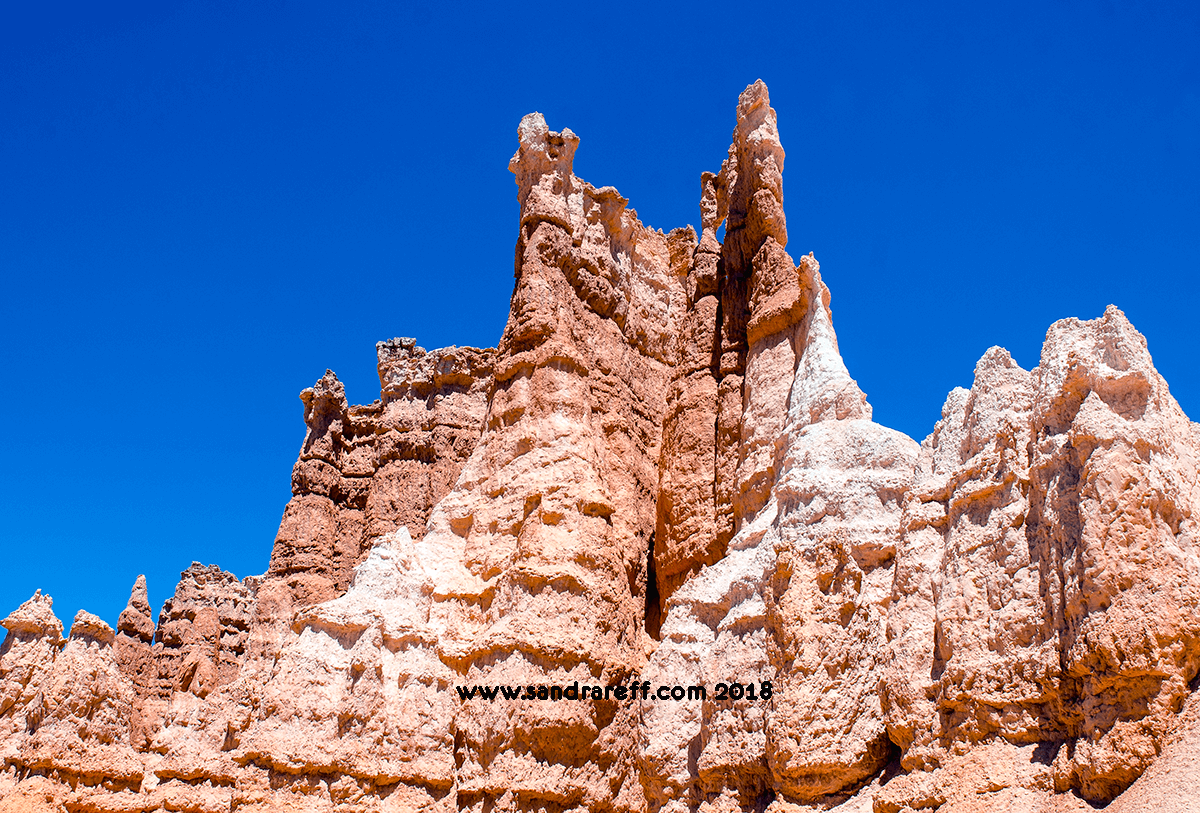 Gliclee print Queen's Garden V